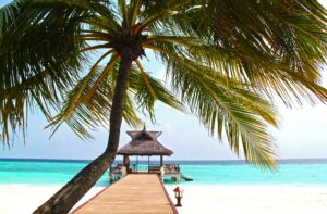Summer movies | The Stremio Blog