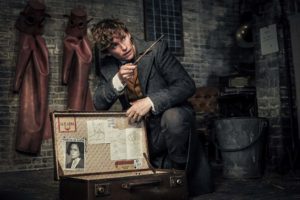 Fantastic Beasts- The Crimes of Grindelwald