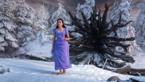 The Nutcracker and the Four Realms
