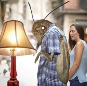 Moth memes